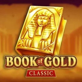 game logo by Playson on trickzzcasino.fr